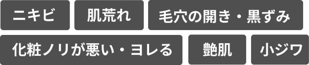 ララピール×LDMが丸ごと解決できる理由！